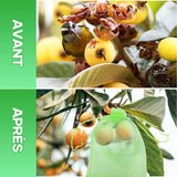 Sac de Protection pour Fruits (100 PCS)