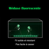 Simulation d'aménagement paysager d'aquarium Méduse fluorescente transparente