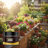 Activateur Soil Pro