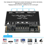 Module amplificateur de puissance pour récepteur audio 2.1 canaux