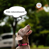 🐶 Boules jouets incassables pour chien 🐶