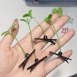 Cartes à cheveux en forme de germes de soja