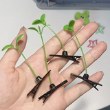 Cartes à cheveux en forme de germes de soja