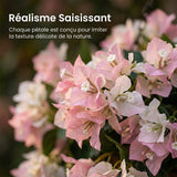 Paniers suspendus de faux lilas des Indes