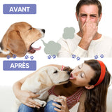 Spray de nettoyage pour animaux de compagnie