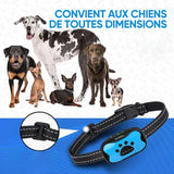 Dresseur de chiens rechargeable et étanche