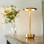 Lumière d'ambiance sans fil et rechargeable