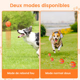 Balle intelligente pour animaux de compagnie
