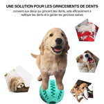 Balle en caoutchouc à mâcher pour chien