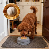 Gamelle lente pour animaux et tapis de léchage