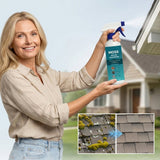 Spray anti-mousse pour toiture