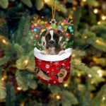 Ornement de Chien Mignon en Forme de Chaussette de Noël