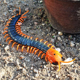 Jouet de Taquin pour Chat Centipede Electrique