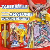 Puzzle d’Anatomie Humaine pour Enfants