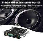 Module amplificateur de puissance pour récepteur audio 2.1 canaux