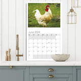 Calendrier mural Big Cocks 2024 - Une collection élégante de photos de coqs