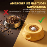 Gamelle lente pour animaux et tapis de léchage