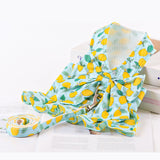 Manteau de Traction pour Animaux de Compagnie