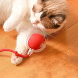 Balle interactive pour chat d'intérieur