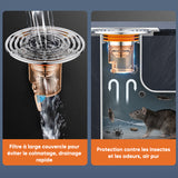 Drain de sol inodore pour égout