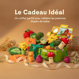 Ensemble de jouets interactifs pour bébé, jardin sensoriel
