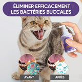 Spray de nettoyage pour animaux de compagnie