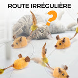 Jouets pour chats