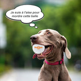 🐶 Boules jouets incassables pour chien 🐶