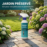Spray anti-mousse pour toiture