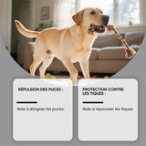 Spray de soin cutané pour chien contre puces et tiques