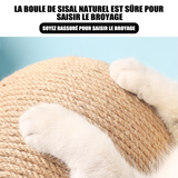 Griffoir Chat en Bois Massif avec Boule à Rouler Sisal
