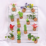 Mini Plante Décoratif Polyvalent de Voiture et Frigo