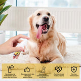 Spray de soin pour la peau des animaux