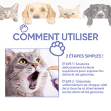 Spray de nettoyage pour animaux de compagnie