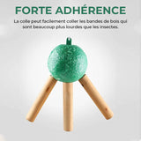 Pièges Collants à Mouches à Fruits Suspendus