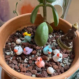 Ornement en forme de caneton micro-paysage