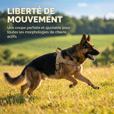 Harnais réfléchissant anti-traction ultime pour chien