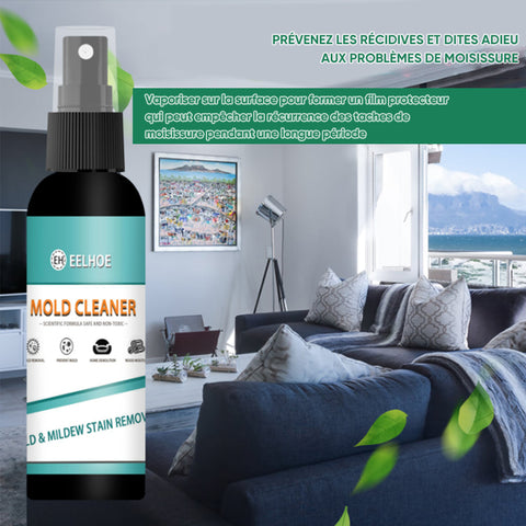 Démoulant pour meubles et carrelages