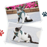 Veste de Harnais et Laisse pour Chat