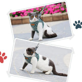 Veste de Harnais et Laisse pour Chat