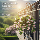 Paniers suspendus de faux lilas des Indes