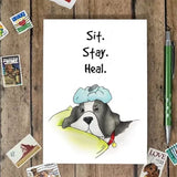 Carte de Vœux Amusante pour Animal de Compagnie