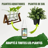 Solution nutritive pratique pour plantes