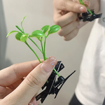 Cartes à cheveux en forme de germes de soja