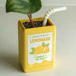 Jardinière en carton de jus de fruit