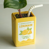 Jardinière en carton de jus de fruit