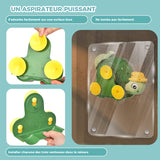 Jouet Tortue de Bain pour Bébé