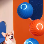 Balle pour chien taquine automatique et intelligente
