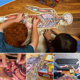 Puzzle d’Anatomie Humaine pour Enfants