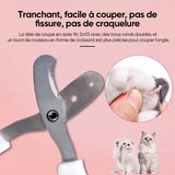 Coupe-ongles pour animaux de compagnie à double trou